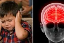 O que acontece com o cérebro de uma criança quando os pais discutem na frente dela?