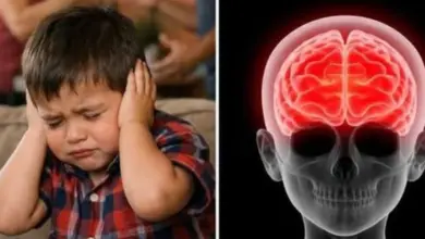 O que acontece com o cérebro de uma criança quando os pais discutem na frente dela?