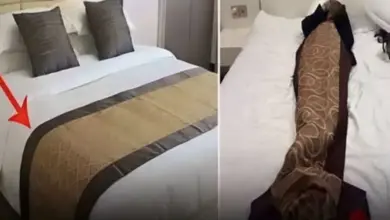 Por que os hotéis colocam uma faixa de tecido sobre a cama? Pouca gente conhece sua verdadeira utilidade