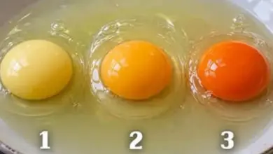 Qual desses três ovos veio de uma galinha saudável? A resposta pode surpreender você