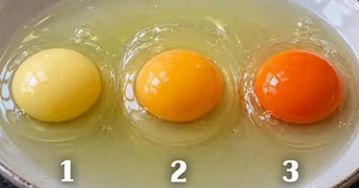 Qual desses três ovos veio de uma galinha saudável? A resposta pode surpreender você
