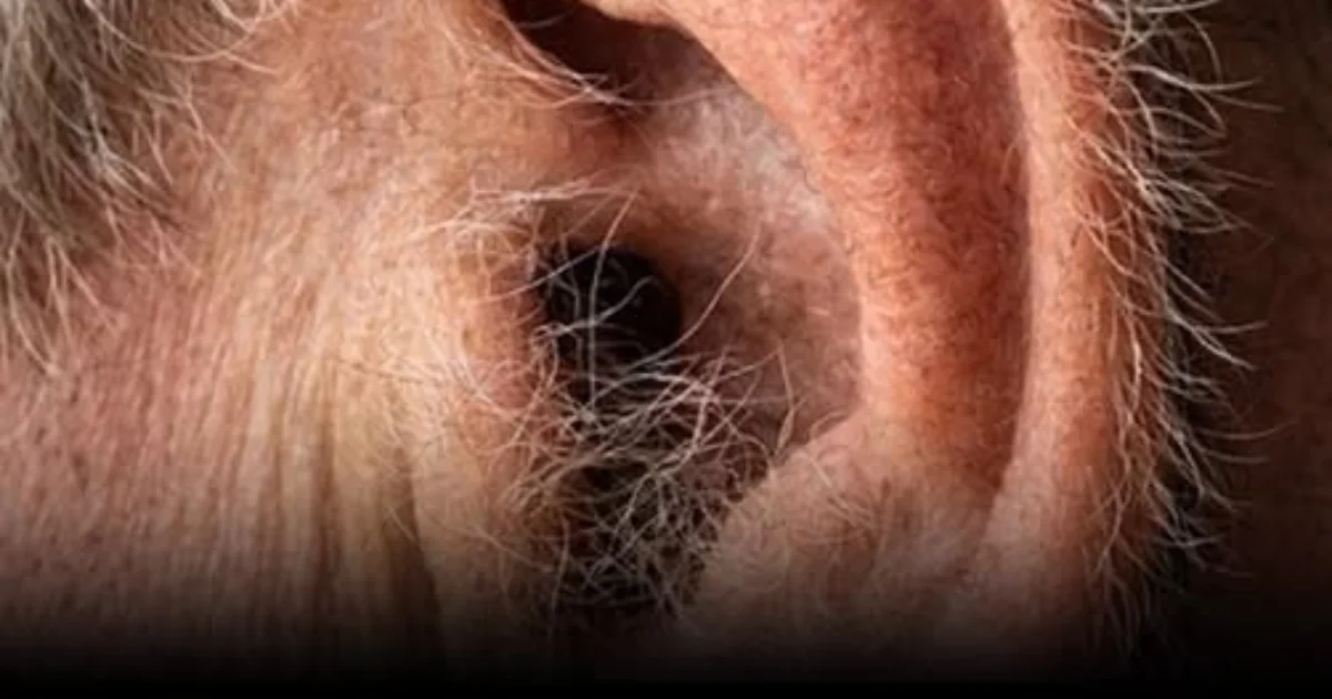 Sabia disso? Se os pelos crescem nas suas orelhas, isso pode ter uma explicação bem simples